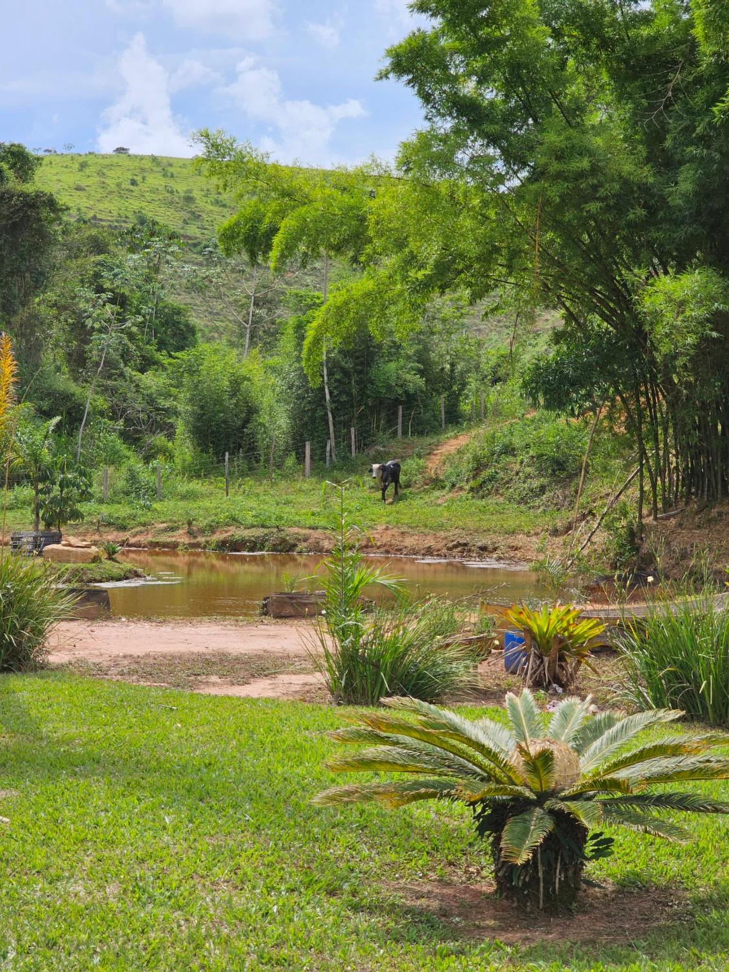 Sitio Reis Membeca Paraíba do Sul Exterior photo