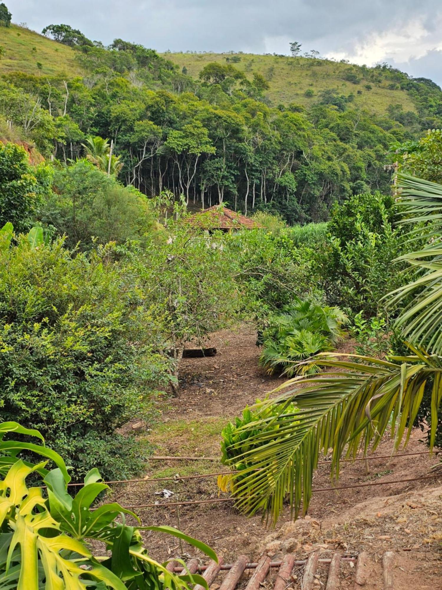 Sitio Reis Membeca Paraíba do Sul Exterior photo