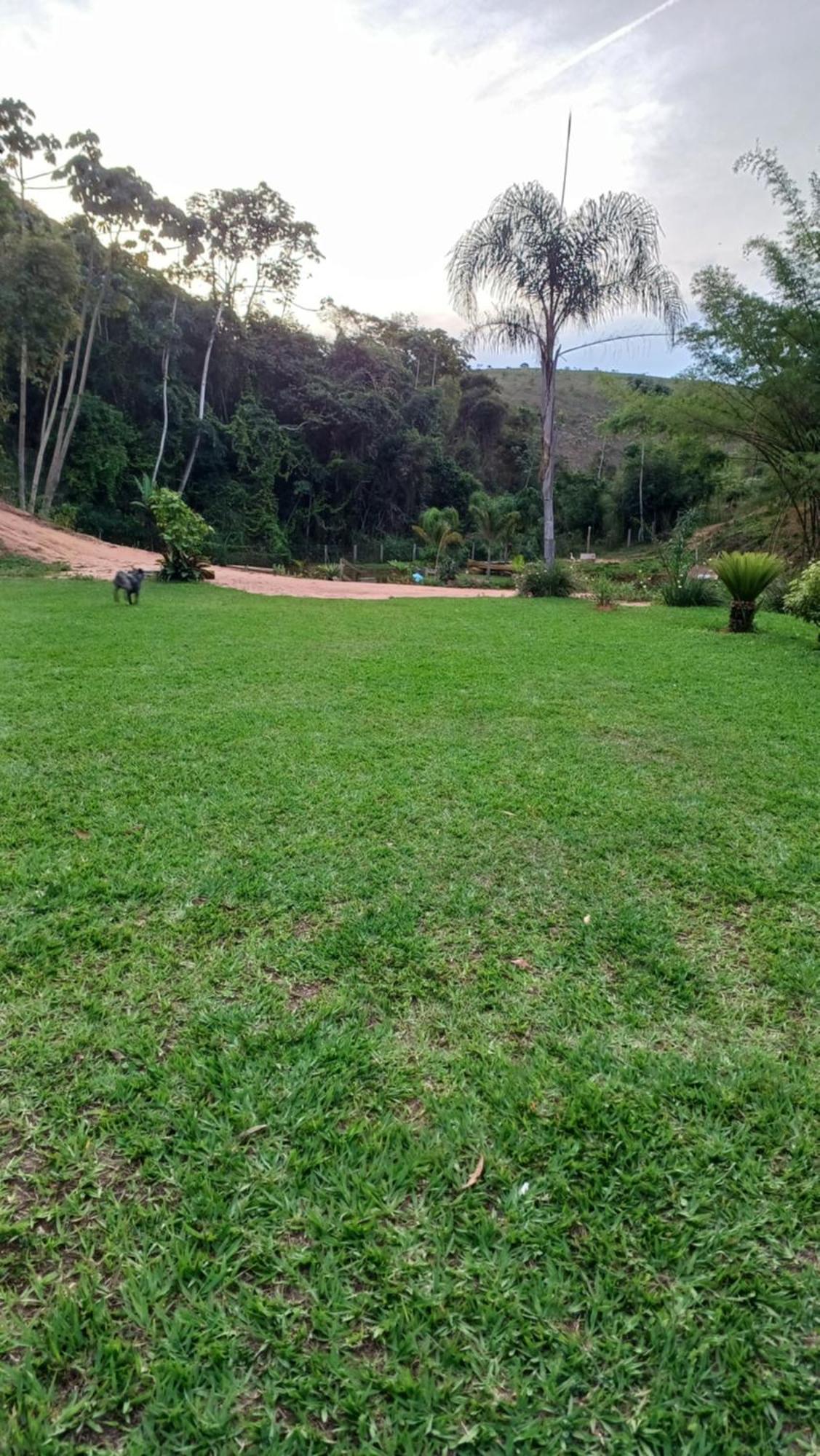 Sitio Reis Membeca Paraíba do Sul Exterior photo